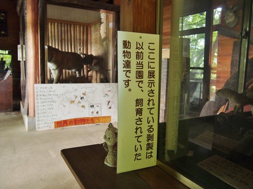 P5255613