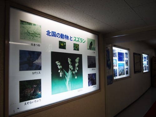 P6207639