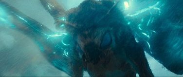 �����顢����