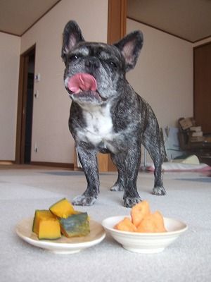 イメージ 6
