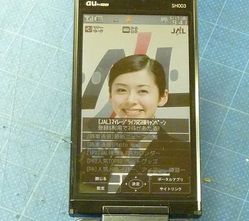 JAL¥Õ¥©¥ó04