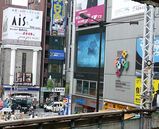 ��ԥ�������01