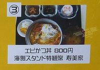 ¥¨¥Ó¤«¤ÄЧ800±ß