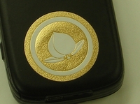 06