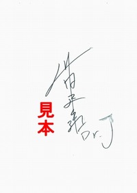 ¥µ¥¤¥ó01