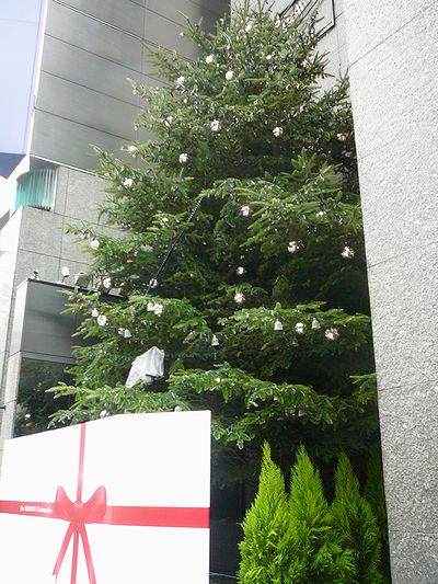 川口オート クリスマスツリー点灯式 ダメなものは駄目 酒でも飲んで忘れたい