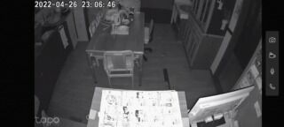 Tapoカメラの映像