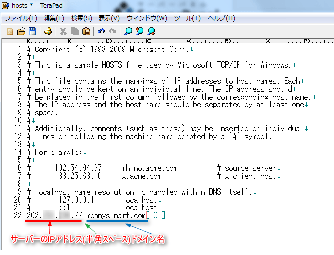 キャプチャ画像