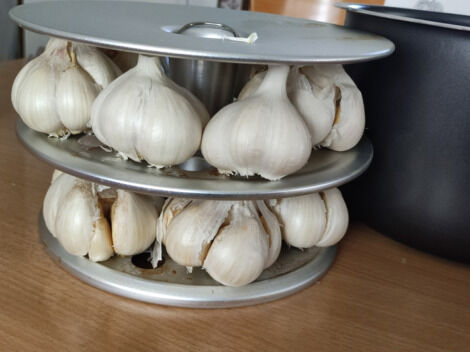 黒にんにくメーカー