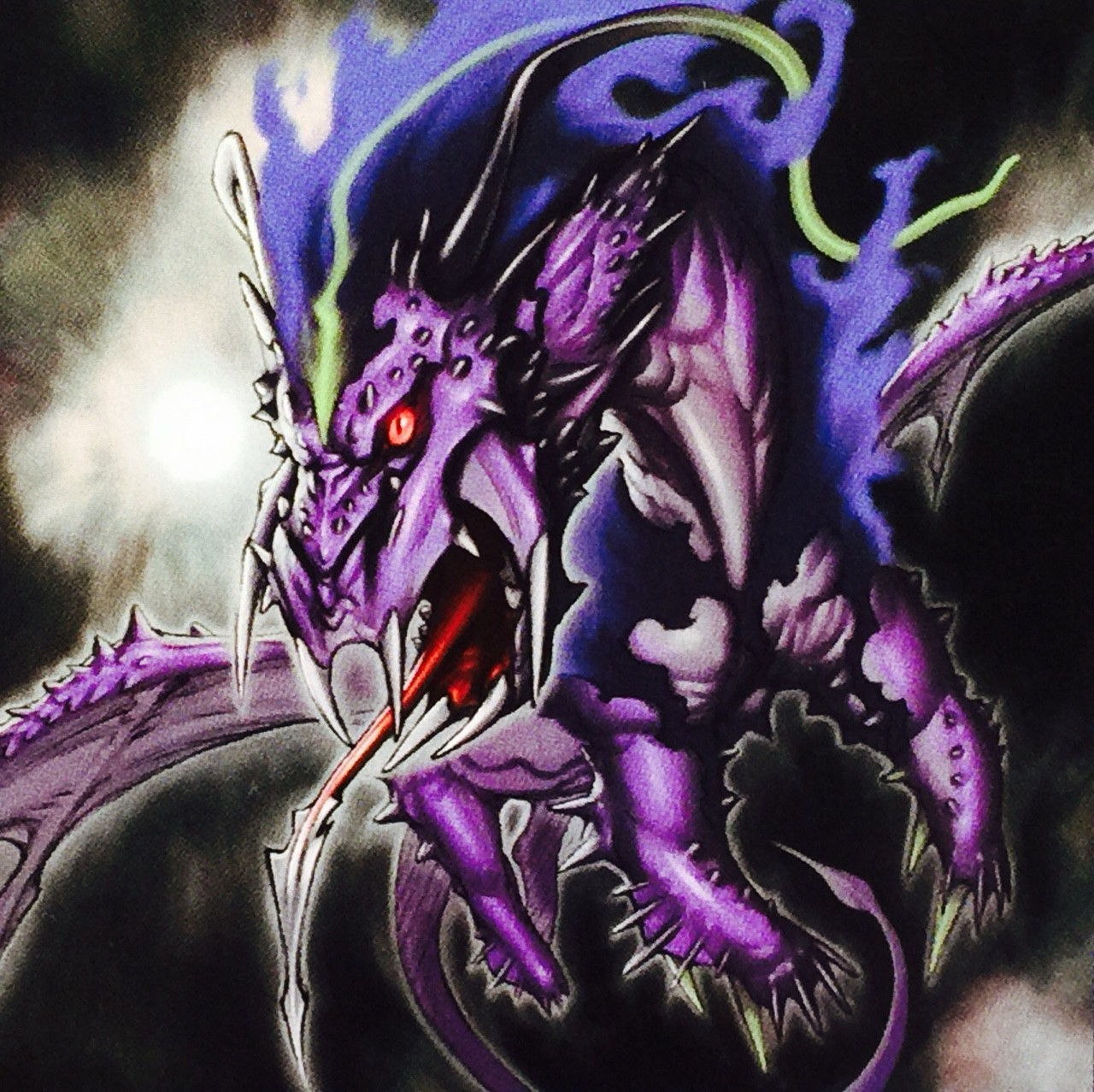 遊戯王 遊戯王写真館