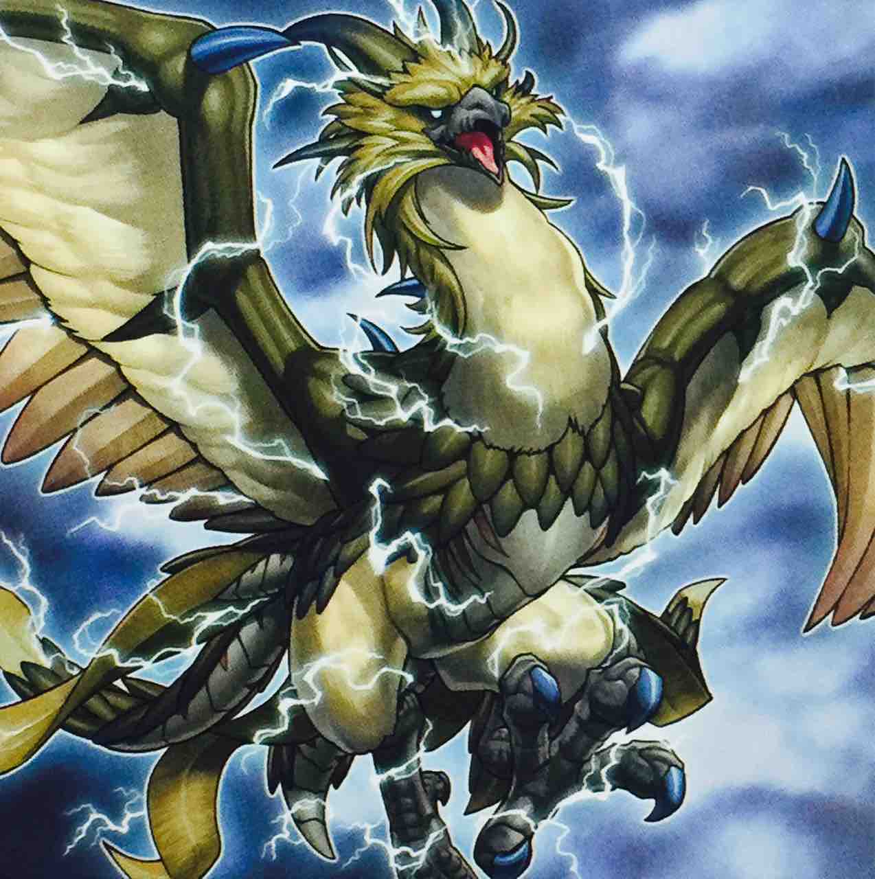 趣味 遊戯王写真館 趣味 遊戯王写真館