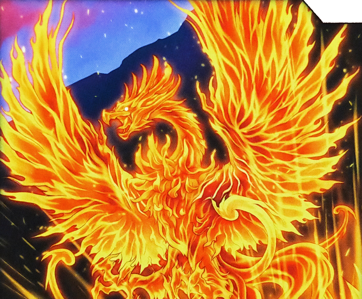 ラッシュデュエルまとめ 9 遊戯王写真館