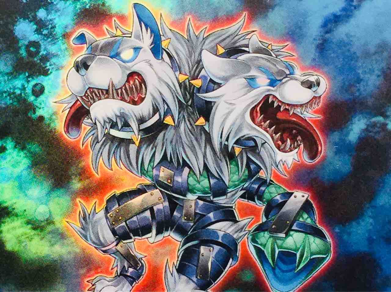 遊戯王 遊戯王写真館 遊戯王 遊戯王写真館