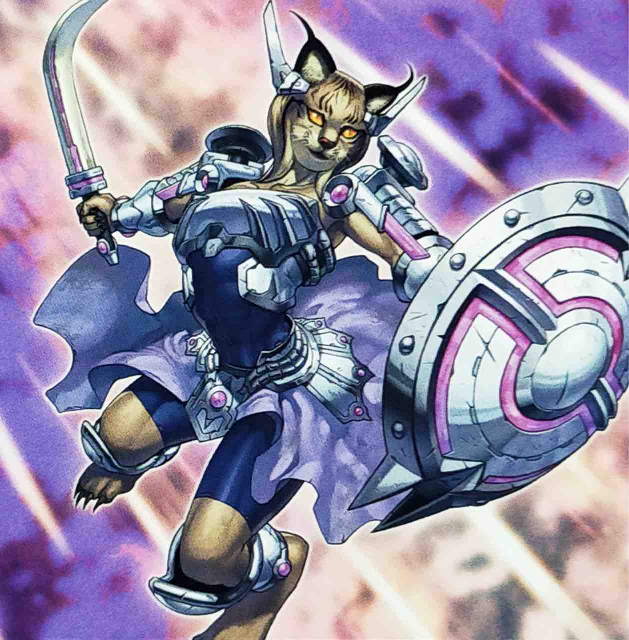 遊戯王 遊戯王写真館