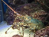 519ebc94.jpg