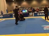 8108714e.jpg