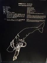 a703d0b7.jpg