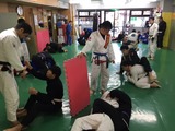 c520f144.jpg