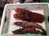 d6547e5a.jpg
