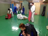 d7accde5.jpg