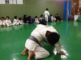 fe6117d7.jpg