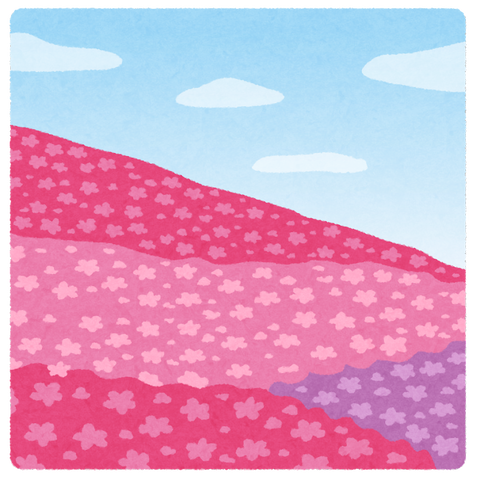 flower_shibazakura
