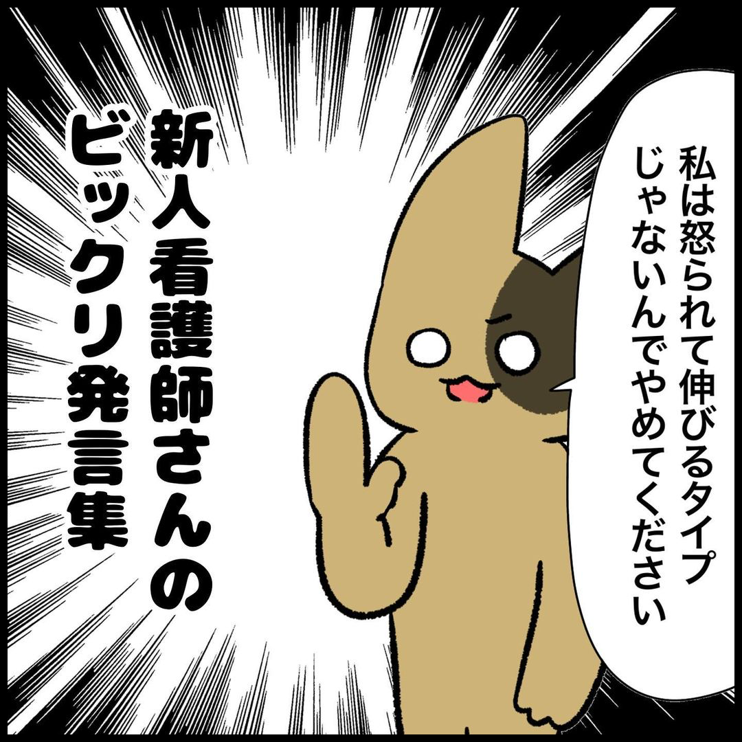 漫画 新人看護師さんのビックリ発言まとめ ぱれちにっき Powered By ライブドアブログ 漫画 新人看護師さんのビックリ発言まとめ ぱれちにっき Powered By ライブドアブログ