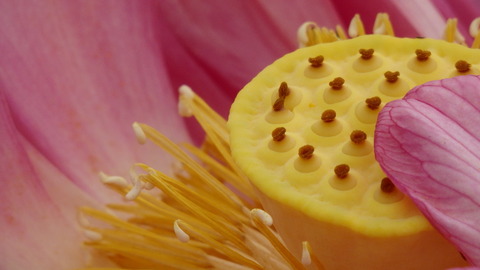 P7170308