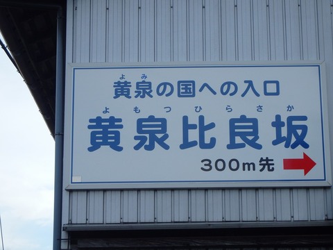 10150116PA120171