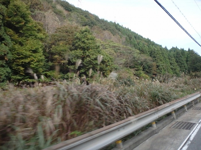 20161121PA220036