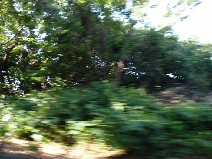 20160627P5040471