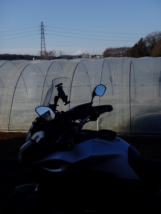 20170115P1050361