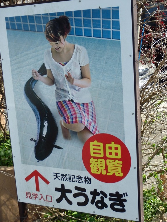 20160627P5040483
