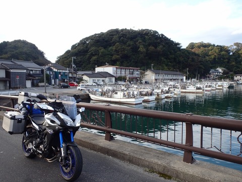 10150120PA120215