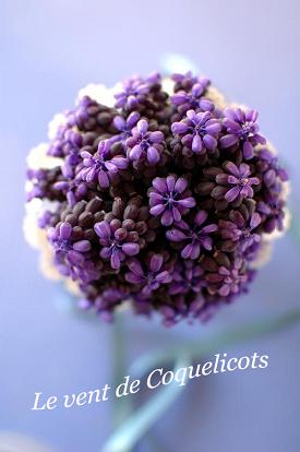 bouquet