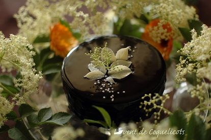 gateau sureau