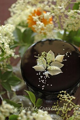 gateau sureau