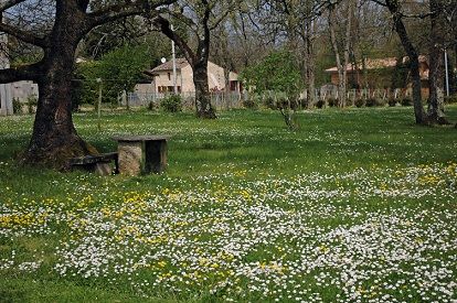 jardin