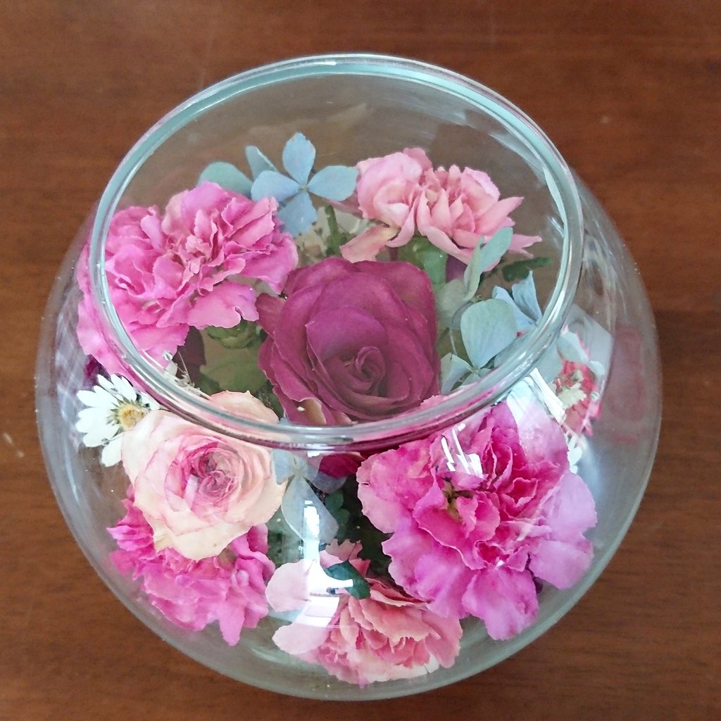 ボトルフラワー 阪根先生のユーチューブ アリスおばさんの旅と思い出