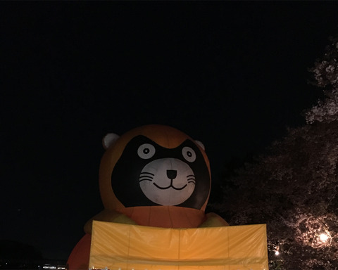 tanu1