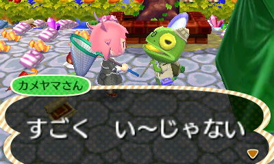 とびだせ どうぶつの森 金のあみget 私の歩む道