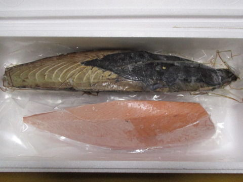 20200604アトム2