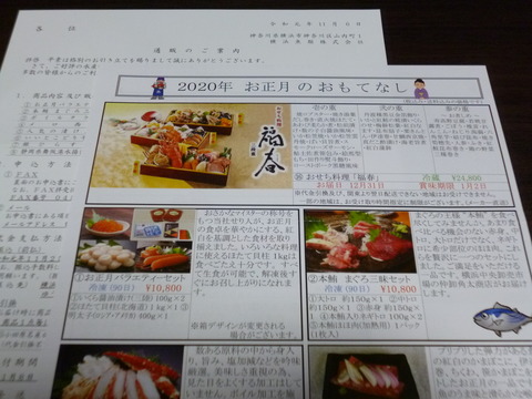 20191106横浜魚類