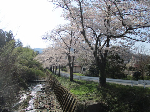 61蓬莱島公園4