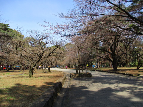 54公園内