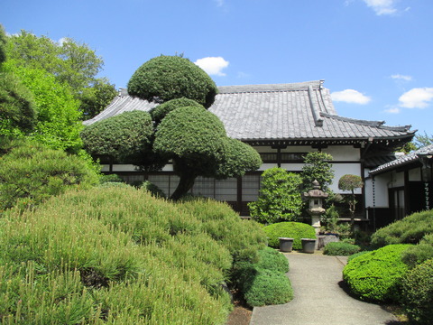 135高源院6