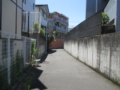 46旧いもり川道5