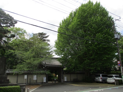 162妙壽寺1