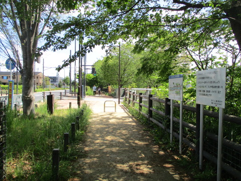 115兵庫橋1