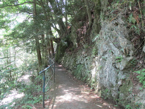 161白髭神社8